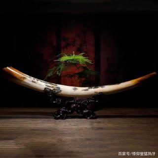 猛犸牙带皮的好吗?该如何选择皮色?